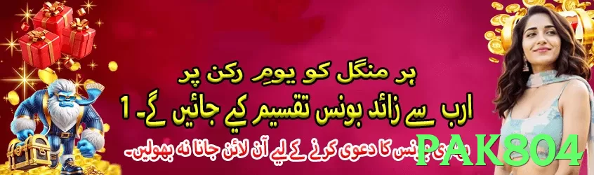 pak804 interface sample - 3